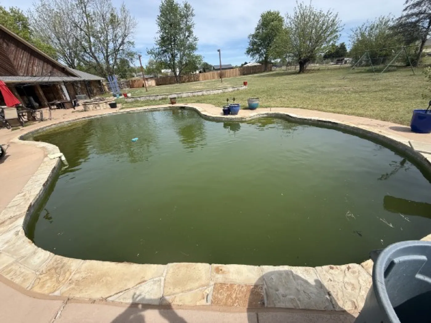 Green, algae-filled pool before recovery in the Oklahoma City metro